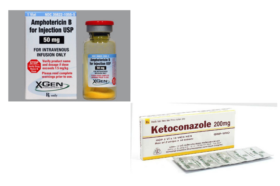 Amphotericin B và Ketoconazole: 2 loại thuốc chống nấm phổ biến hiện nay