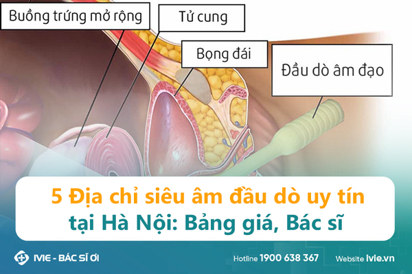 5 Địa chỉ siêu âm đầu dò uy tín tại Hà Nội: Bảng giá, Bác sĩ