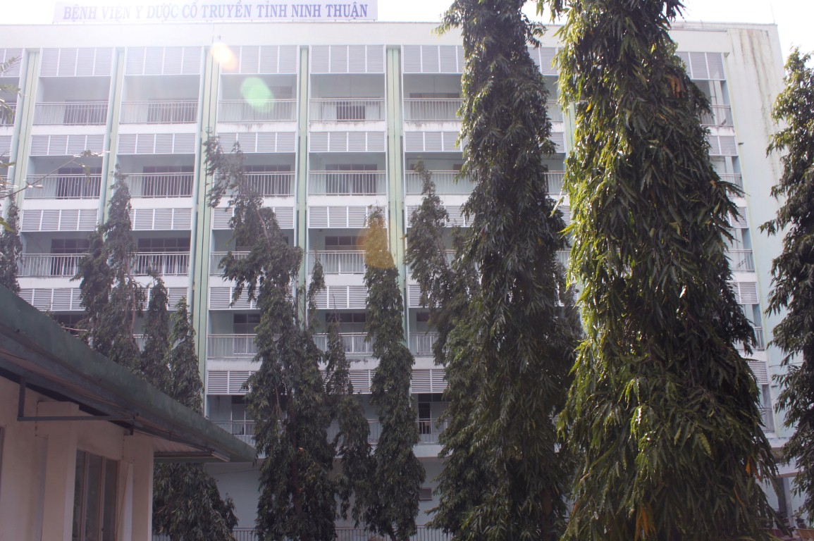 Banner Bệnh Viện Y Dược Cổ Truyền Tỉnh Ninh Thuận