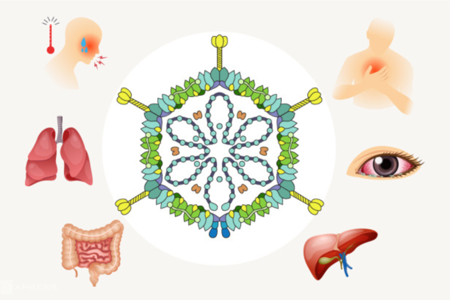 Đối với mỗi týp Adenovirus khác nhau sẽ để lại những biểu hiện khác nhau