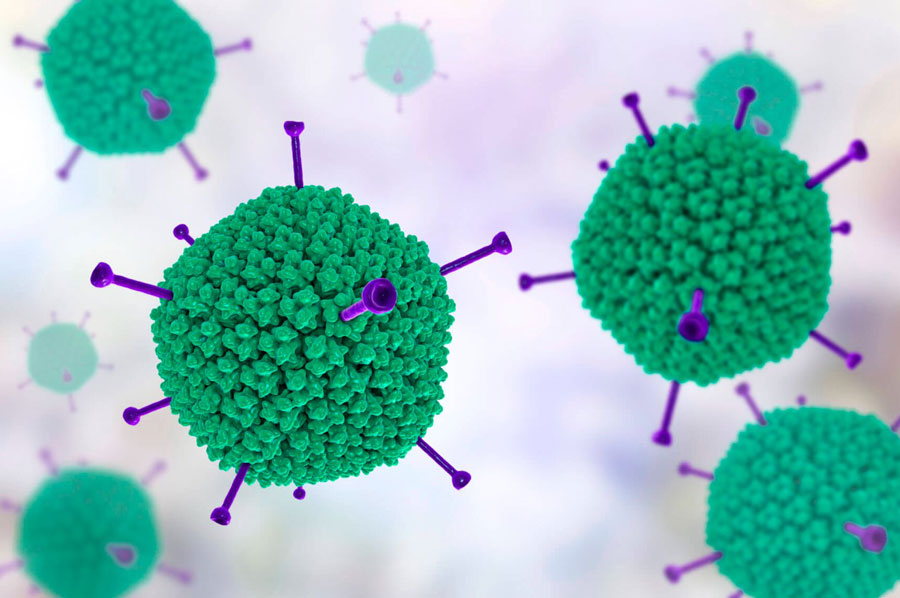 Adenovirus là gì