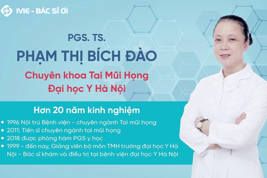  PGS.TS Phạm Thị Bích Đào, Sở hữu hơn 25 năm kinh nghiệm điều trị Tai - Mũi - Họng