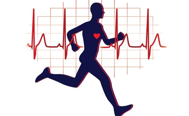 5 Bài tập thể dục phòng bệnh tim mạch, giúp trái tim luôn...