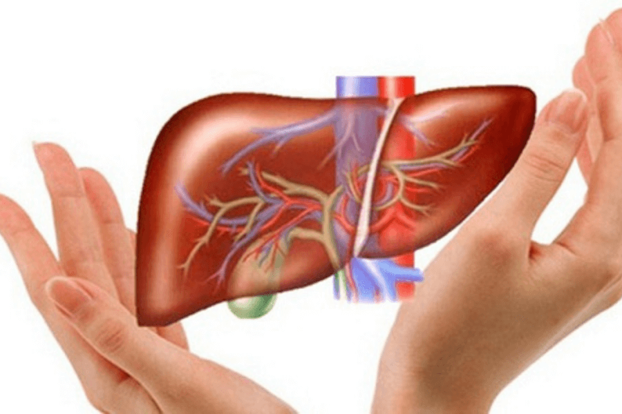 HDL-C là một loại lipoprotein có trọng lượng phân tử cao được tổng hợp ở gan.