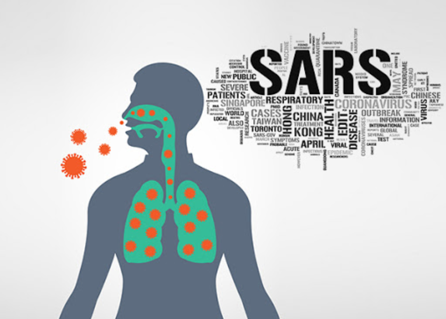 Virus SARS thuộc nhóm coronavirus.