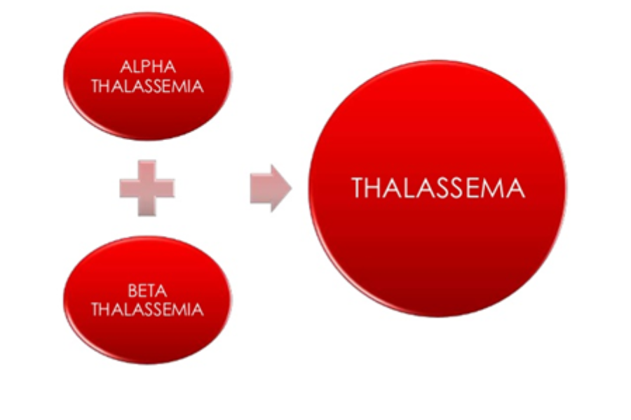 Bệnh thalassemia