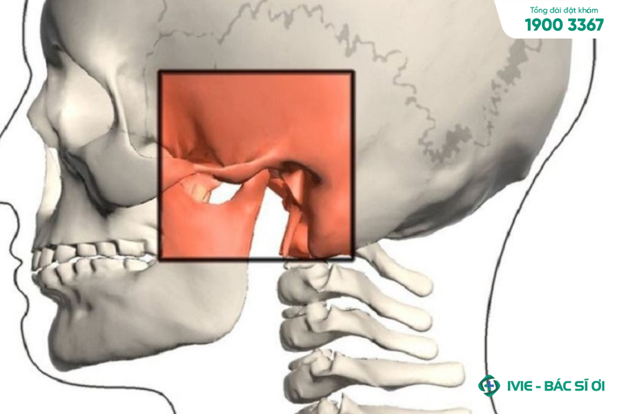 Có nhiều dấu hiệu nhận biết tình trạng đau xương hàm