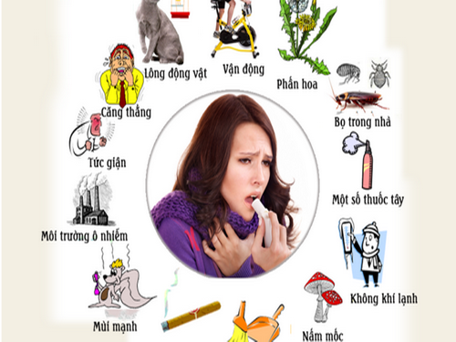 Một số tác nhân gây viêm mũi dị ứng