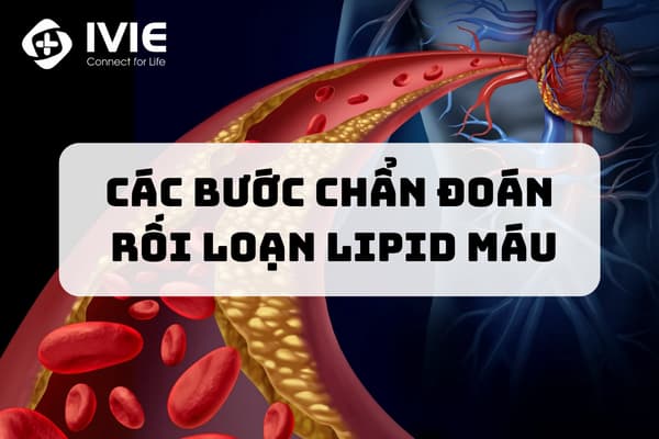 Các bước chẩn đoán rối loạn lipid máu