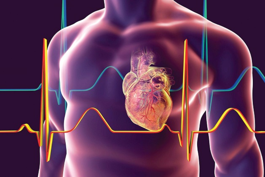 Tăng huyết áp là yếu tố nguy cơ tim mạch