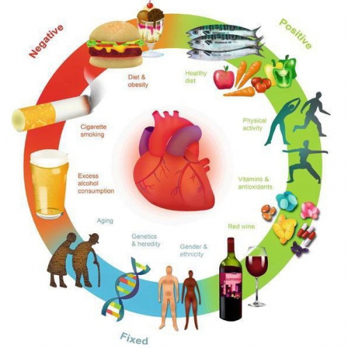 Các yếu tố ảnh hưởng đến huyết áp