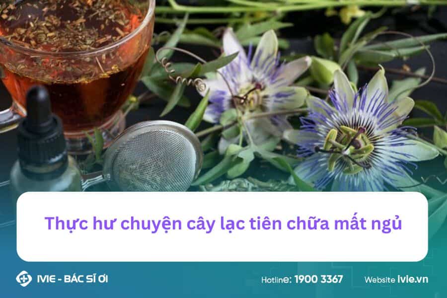 Thực hư chuyện cây lạc tiên chữa mất ngủ