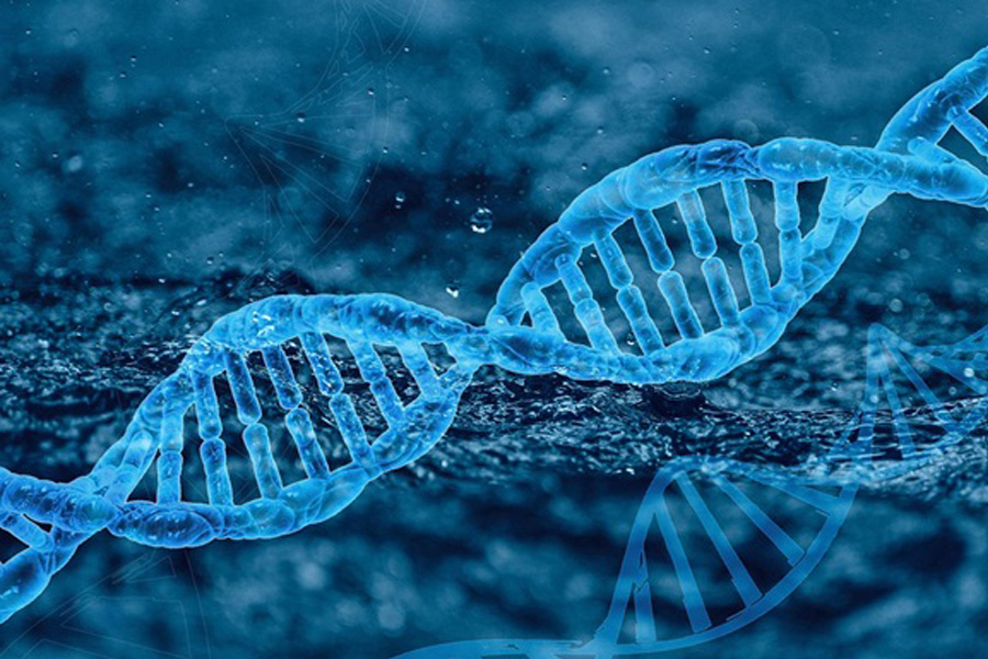 Xét nghiệm ADN tại Genlab được nhiều khách hàng tin tưởng và sử dụng