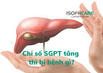 Chỉ số SGPT tăng thì bị bệnh gì?