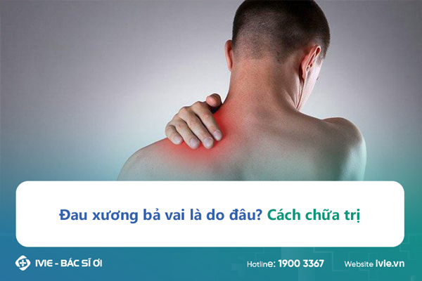 Đau xương bả vai là do đâu? Cách chữa trị