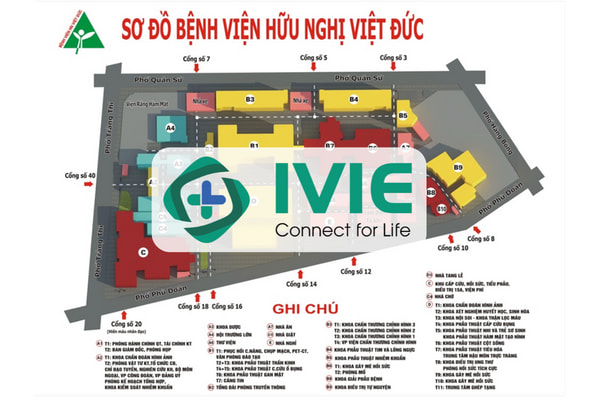 Đi khám dễ dàng hơn khi nằm lòng sơ đồ bệnh viện Hữu nghị...