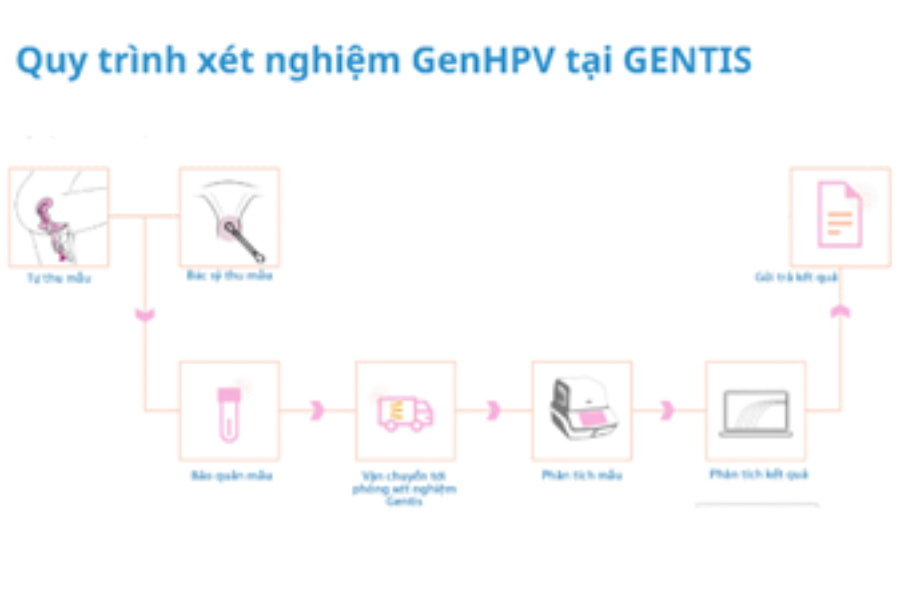 Quy trình xét nghiệm GenHPV tại Gentis