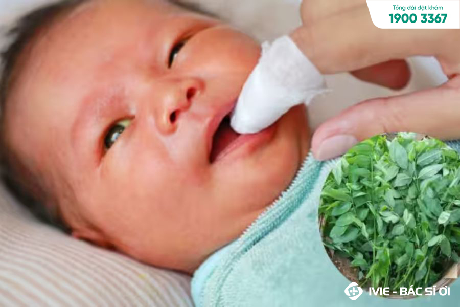 Dùng rau ngót để chữa nấm lưỡi cho bé