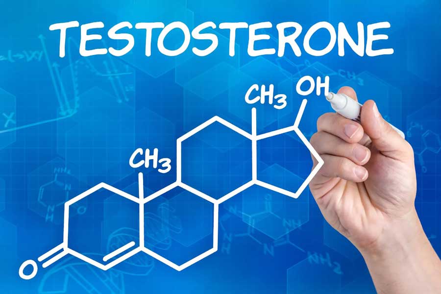 Định lượng nồng độ Testosterone trong huyết thanh