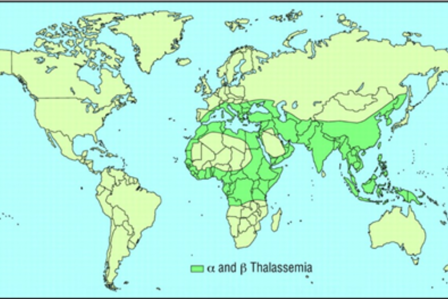Bệnh thalassmia hay gặp ở vùng Địa Trung Hải, Trung Đông, Châu Phi và Đông Nam Á, trong đó có Việt Nam