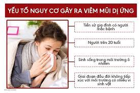 một số yếu tố nguy cơ gây viêm mũi dị ứng