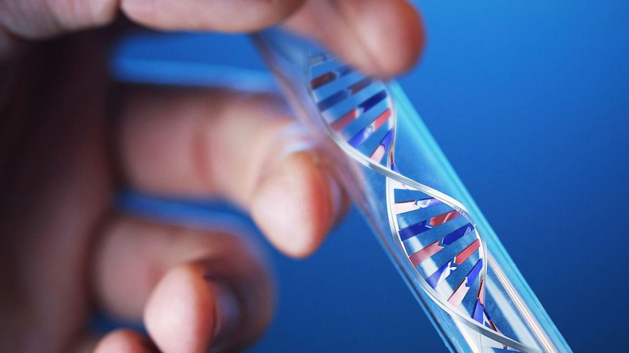 Thời gian trả kết quả xét nghiệm DNA