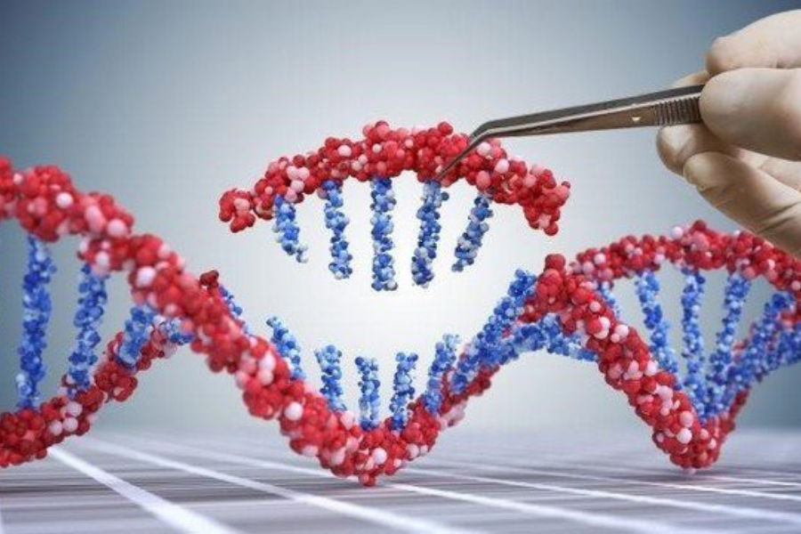 Giải trình tự gen mang lại nhiều lợi ích trong đời sống