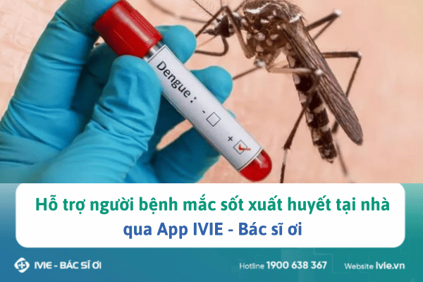 Khám và tư vấn bệnh sốt xuất huyết tại nhà qua App IVIE -...