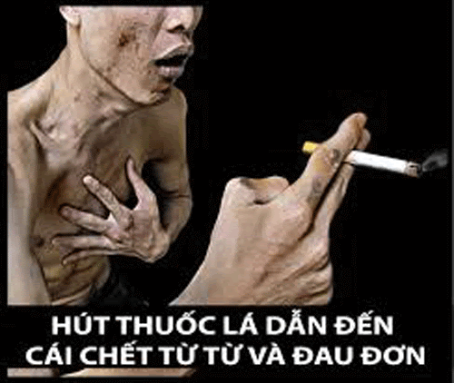 Hút thuốc lá – “Chất độc tử thần” gây nên các bệnh lý tim...