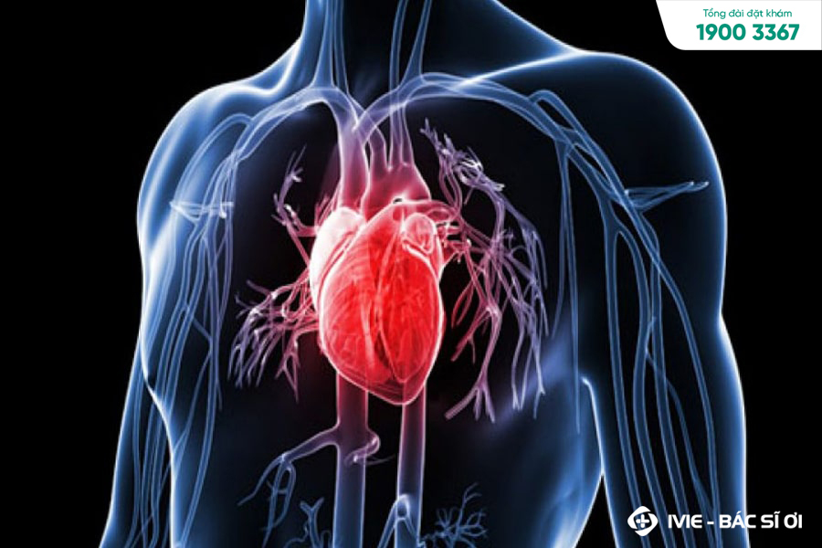 Nhận diện các dấu hiệu quan trọng để kịp thời đi khám tim mạch
