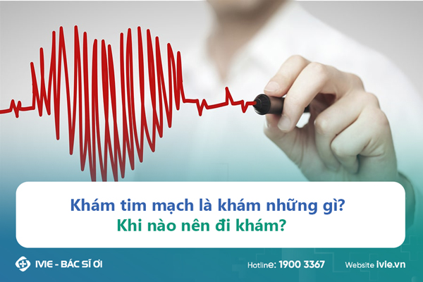 Khám tim mạch là khám những gì? Khi nào nên đi khám?
