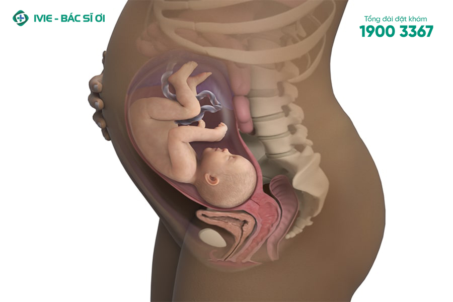 Mang thai làm tăng áp lực lên vùng xương chậu và xương cụt