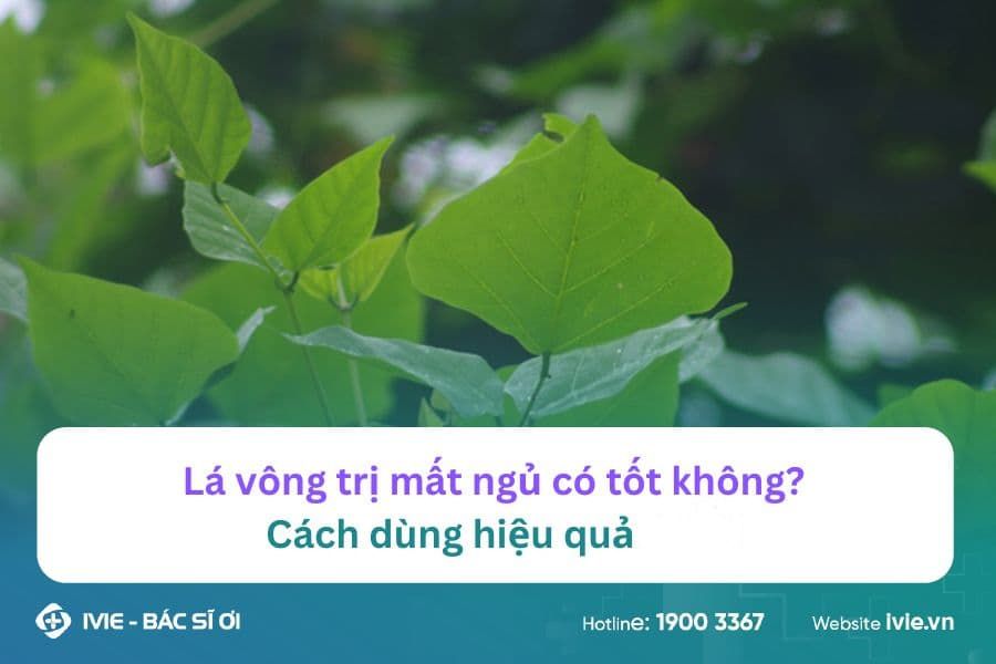 Lá vông trị mất ngủ có tốt không? Cách dùng hiệu quả