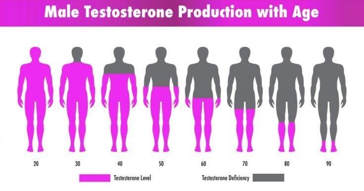 Mãn dục nam và vai trò của testosterone trong cơ thể