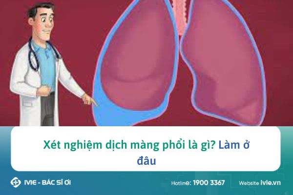 Xét nghiệm dịch màng phổi là gì? Làm ở đâu