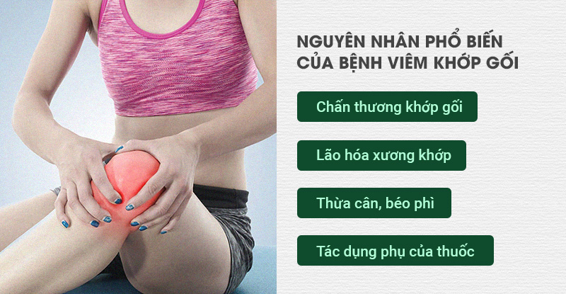 Nguyên nhân gây viêm khớp gối