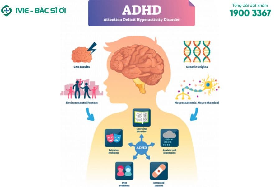 Nguyên nhân của ADHD có thể do di truyền, chấn thương, thiếu sắt…