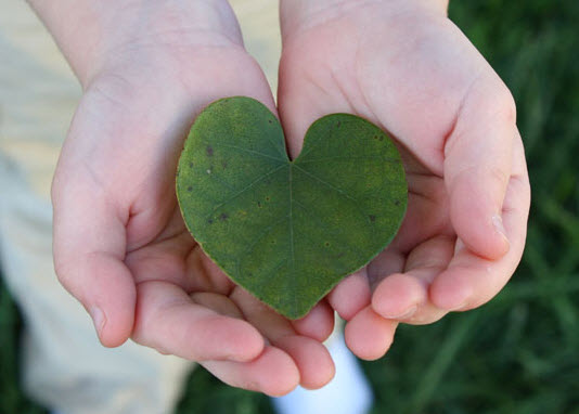 4 trường hợp bệnh nhân mắc ung thư máu được Nhân Ái hỗ trợ