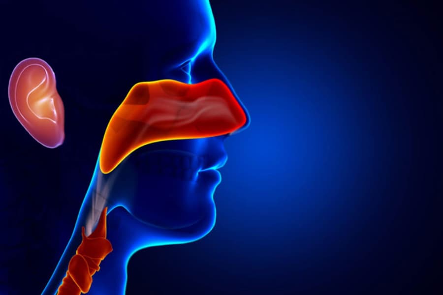 Khám tai mũi họng giúp chẩn đoán, điều trị và tầm soát các bệnh