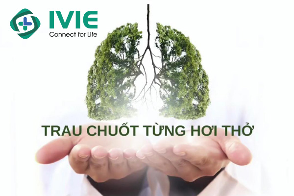 Phòng khám hô hấp Phổi Việt có thực sự tốt?