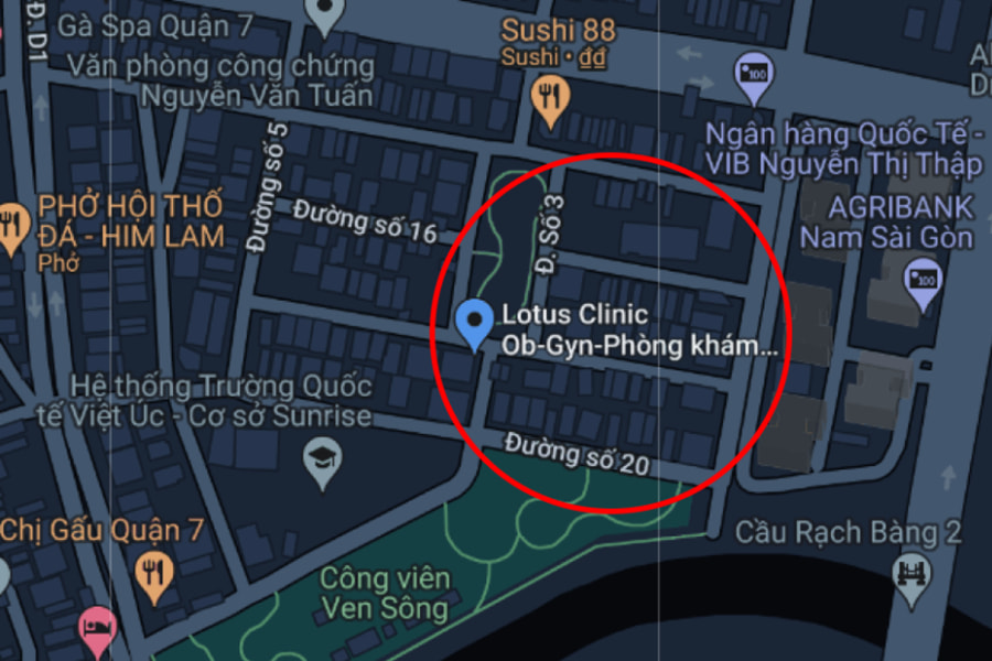 Địa chỉ Phòng khám Lotus Clinic