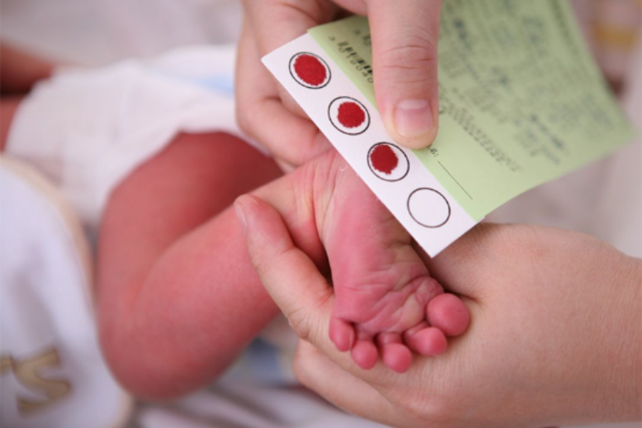 Sàng lọc máu gót chân ở trẻ sơ sinh