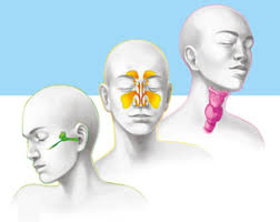 Top 5 bác sĩ giỏi khám và điều trị bệnh lý tai mũi họng