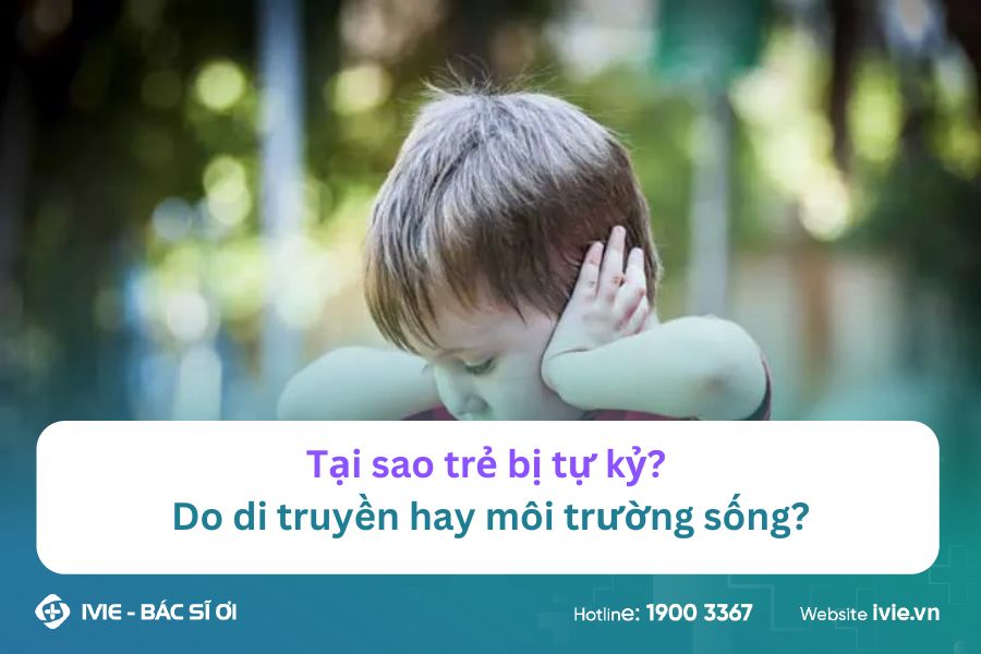 Tại sao trẻ bị tự kỷ? Do di truyền hay môi trường sống?