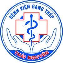 Logo Bệnh Viện Gang Thép Thái Nguyên