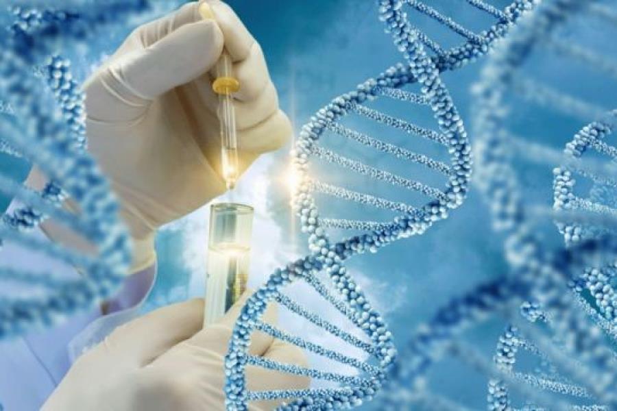 Quy trình thực hiện dịch vụ xét nghiệm gen tại Genetica