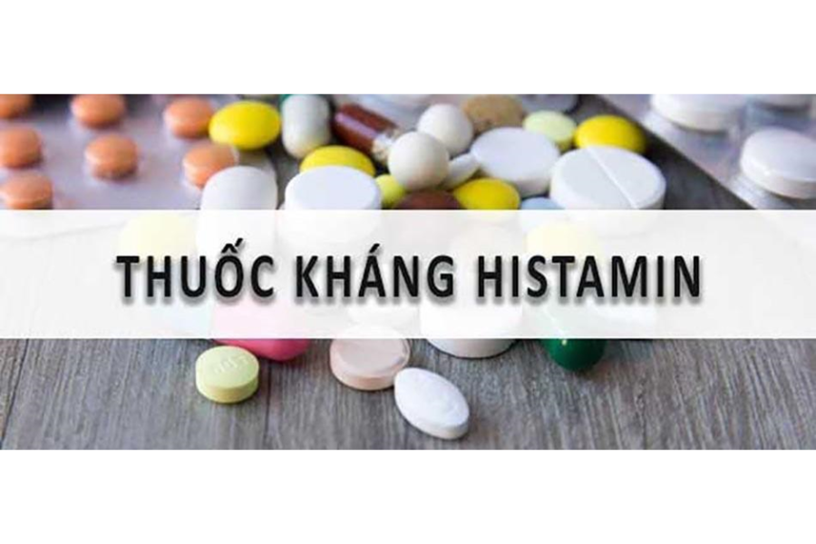 Thuốc kháng histamin giúp cải thiện triệu chứng trong phản ứng quá mẫn nói chung và viêm cơ tim quá mẫn nói riêng