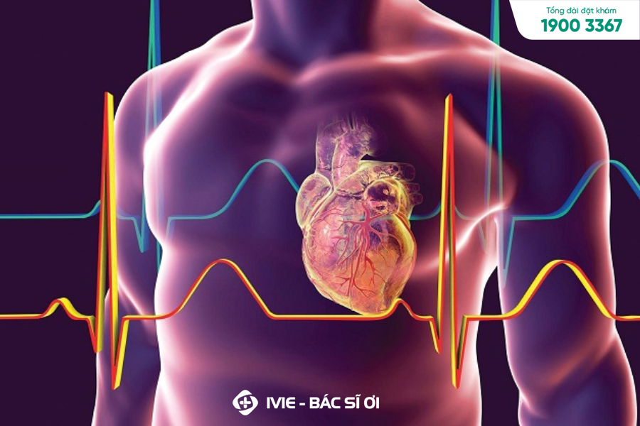 Khám tim mạch sẽ khám lâm sàng và khám cận lâm sàng để chẩn đoán bệnh