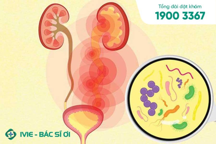 Nhiễm trùng đường tiết niệu còn có thể gây ra đau bụng và nôn mửa ở trẻ