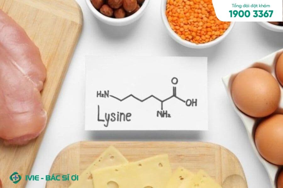 Lysine là một axit amin cần thiết mà cơ thể không thể tự tổng hợp được